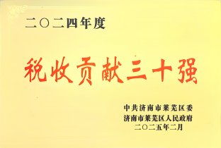 二〇二四年度稅收貢獻(xiàn)三十強(qiáng)